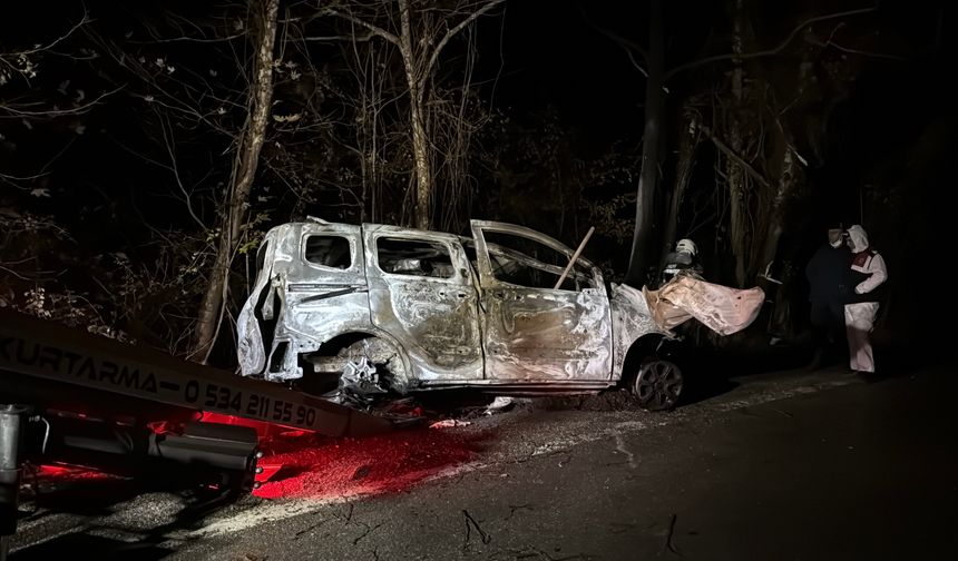 Ağaca çarpan hafif ticari aracın sürücüsü yanarak öldü
