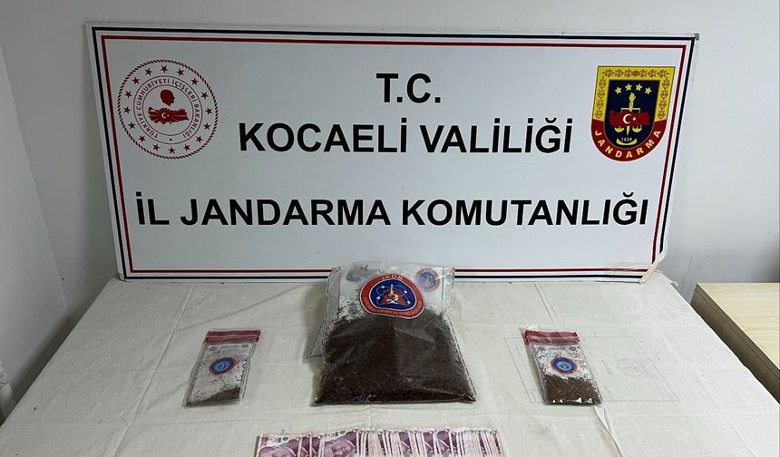 Apartman dairesinde 1 kilo 287 gram bonzai ele geçirildi
