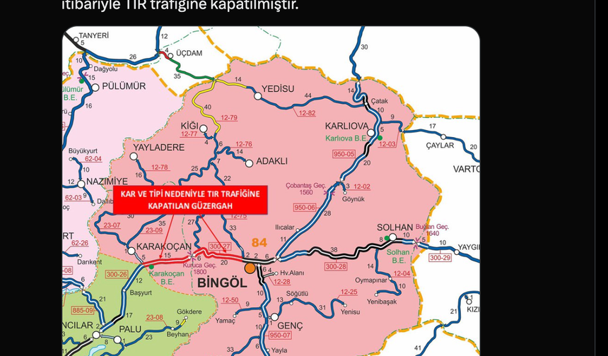 Bingöl'de kar yağışı; 100 köy yolu ulaşıma kapandı (4)