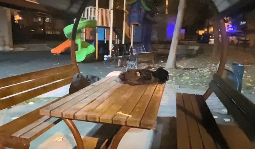 Lise öğrencileri arasında parkta bıçaklı kavga: 1 yaralı