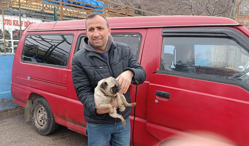 İş yerindeki yangında mahsur kalan yavru köpek kurtarıldı