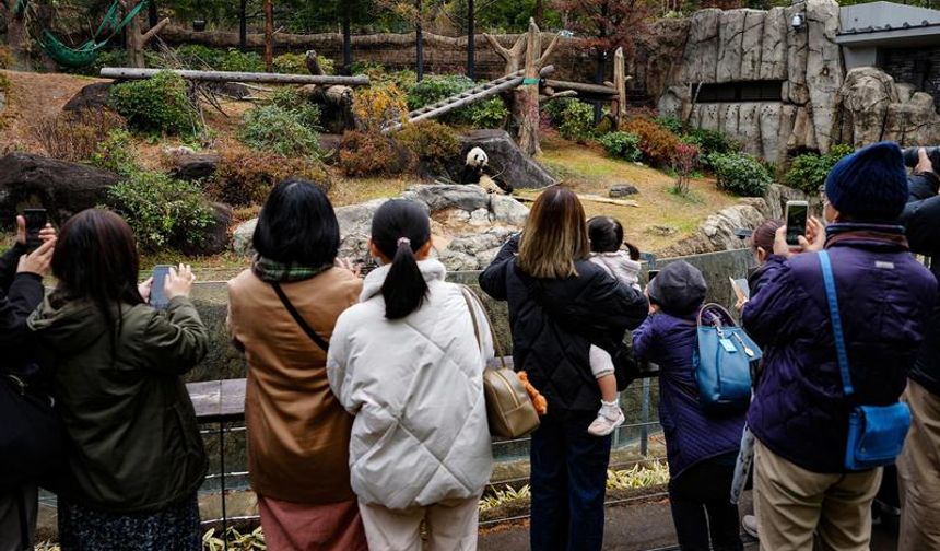 Japonya, iki dev pandayı Çin'e geri yolluyor