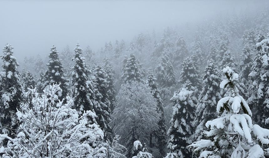 Karabük'ün yüksek kesimlerinde kar yağışı etkili oldu
