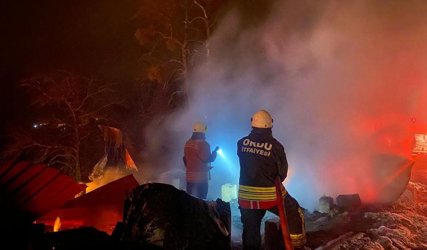 Ordu'da 1 saat arayla çıkan yangınlarda 2 ev 1 samanlık yandı, 2 kişi dumandan etkilendi