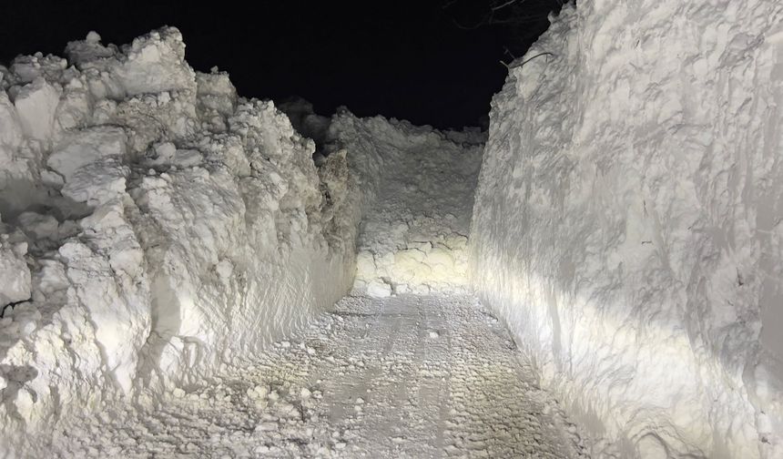 Yüksekova'da çığ düşen köy yolu ulaşıma açıldı