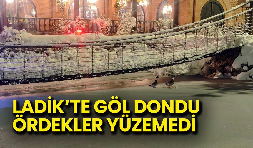 Ladik'te Göl Dondu! Ördekler Yüzemedi