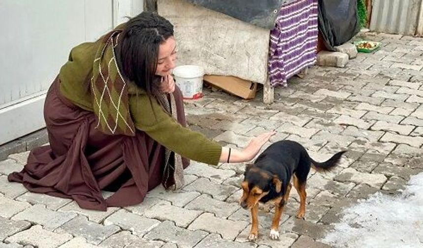 Beyaz'la Joker'de duygu dolu anlar