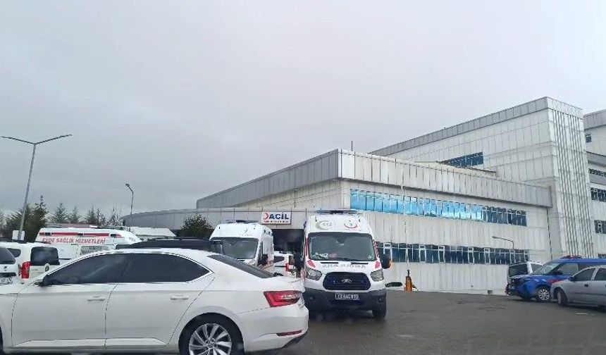 Bingöl'de otomobil şarampole devrildi: 7 yaralı