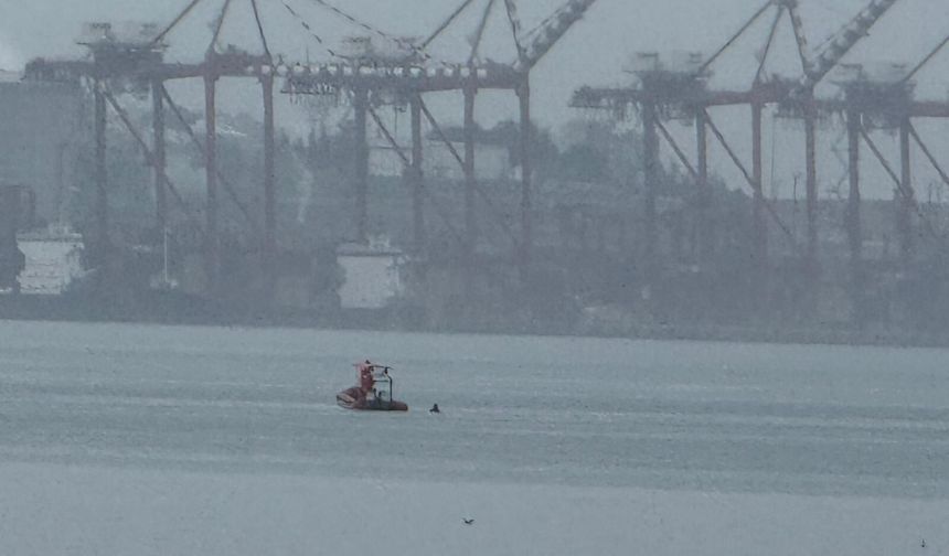 Bursa'da denizde erkek cesedi bulundu