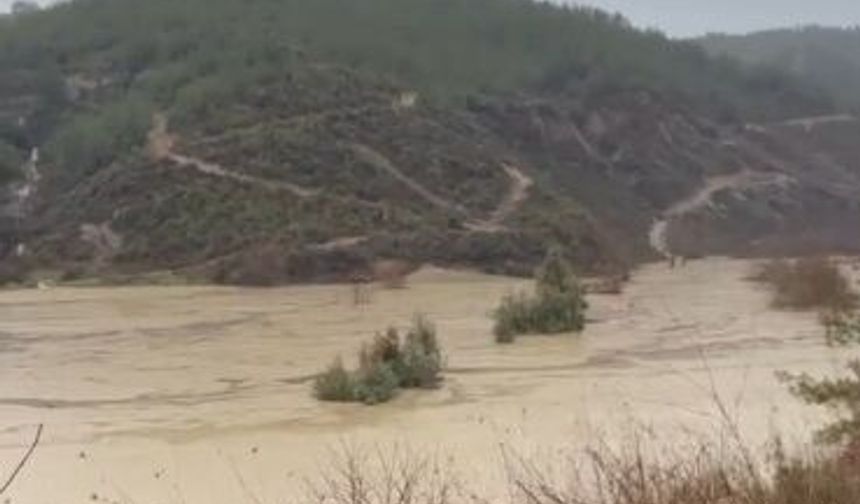 Osmaniye'de sağanak nedeniyle dereler taştı, tarım arazilerini su bastı