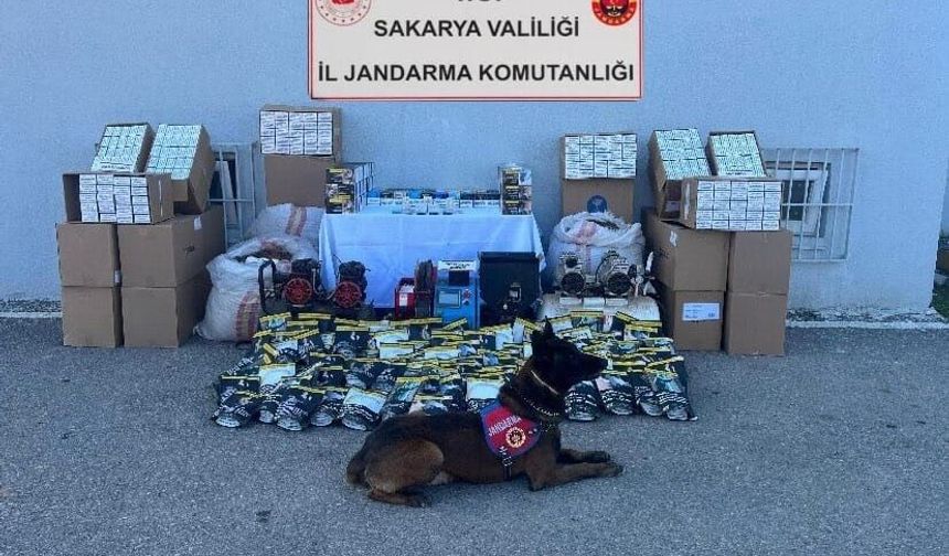 Sakarya'da jandarmadan kaçak tütün baskını: 4 gözaltı