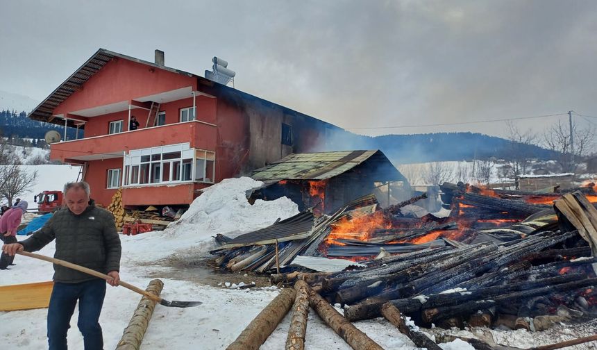 Artvin'de yangın: 1 ev, 2 ahır ve 1 ambar küle döndü