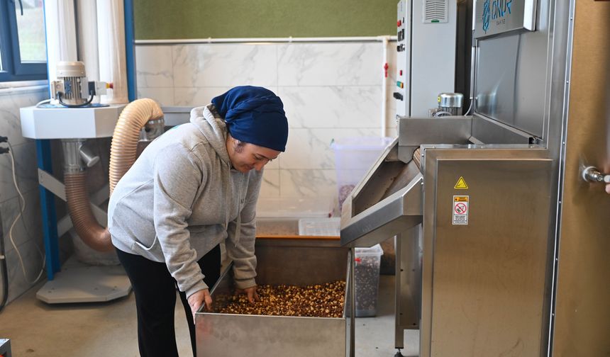 BAU Farm'da üretimin gücü 'kadınlar'