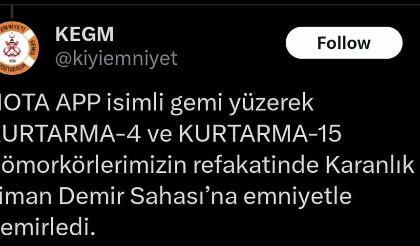 Çanakkale Boğazı'nda makine arızası yapan yük gemisi karaya oturdu (2)
