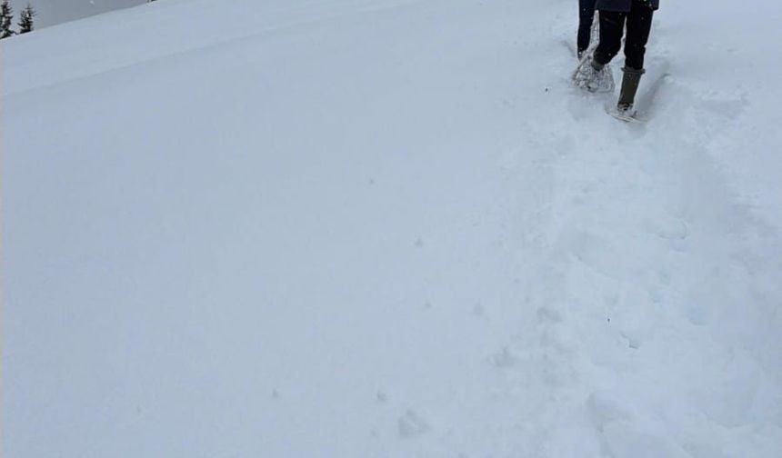 Karda mahsur kalan hayvanları köyün gençleri kurtardı