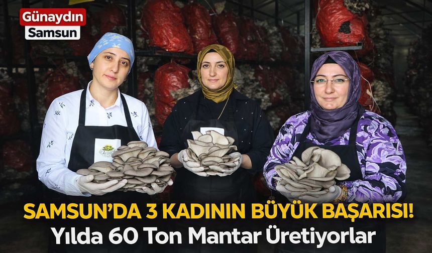 Samsun'da 3 Kadının Büyük Başarısı! Yılda 60 Ton Mantar Üretiyorlar