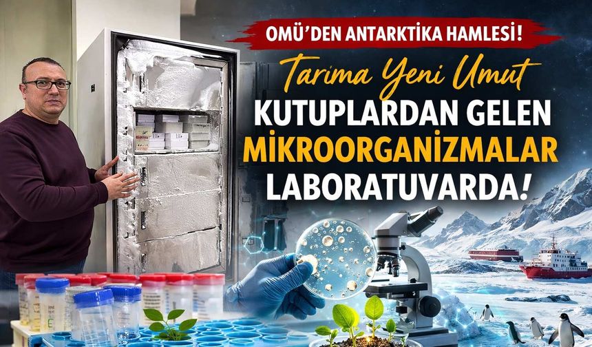 OMÜ’den Antarktika Hamlesi: Tarıma Yeni Umut