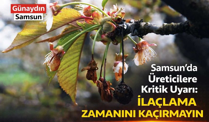 Samsun’da Üreticilere Kritik Uyarı