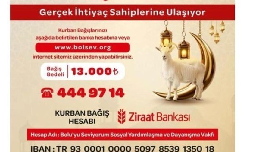 Bolu Belediye Başkan Yardımcısı ile meclis üyesi gözaltına alındı (2)