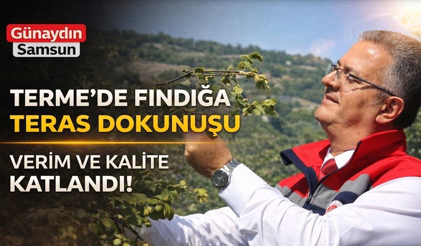 Terme’de Fındığa "Teras" Dokunuşu: Verim ve Kalite Katlandı!
