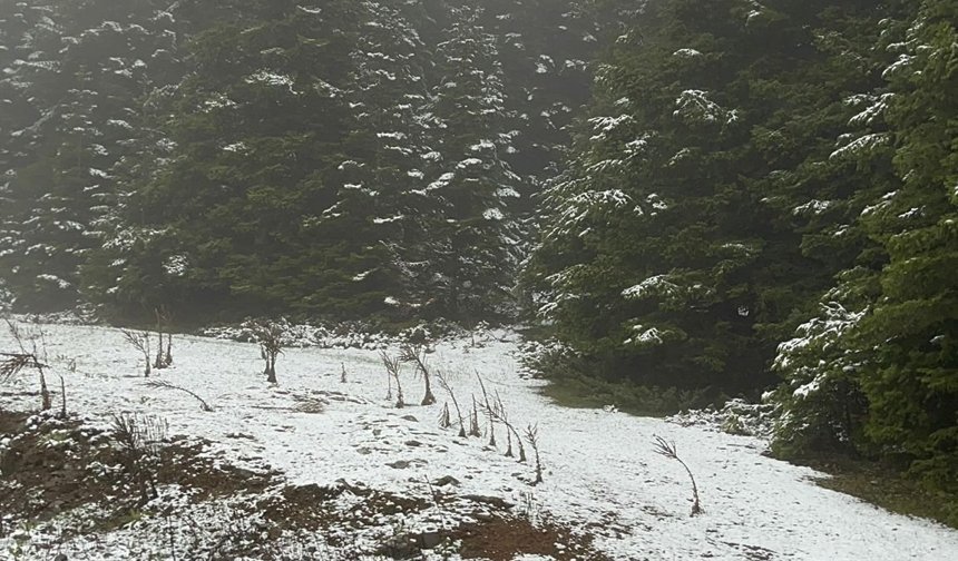 Bolu'nun yükseklerinde mayıs karı