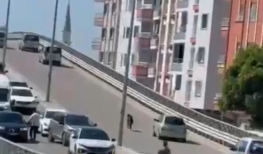 Kaçan keçi, trafiği birbirine kattı