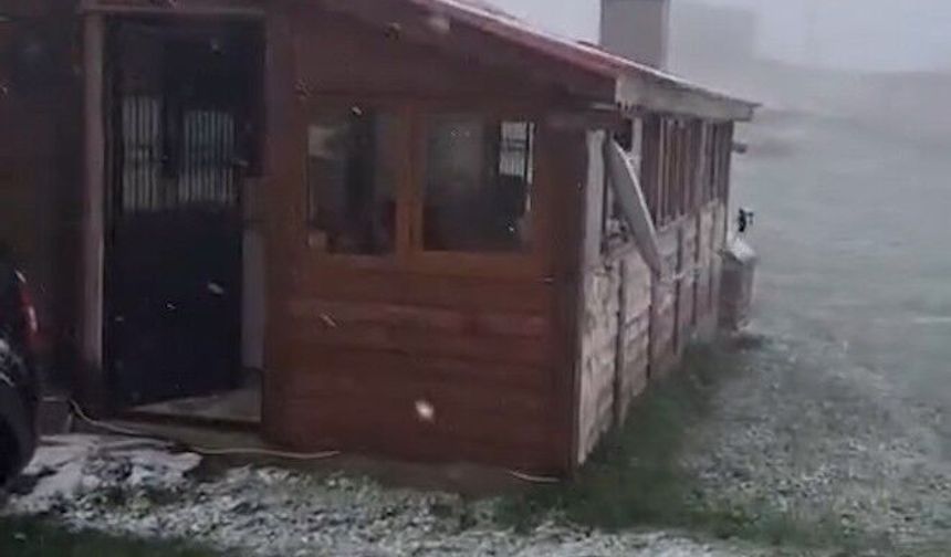 Mayıs ayında Ordu'nun yaylalarına kar yağdı