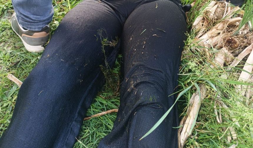 Sakarya'da Tabiat Parkındaki gölette kadın cesedi bulundu