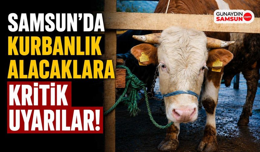 Samsun'da Kurbanlık Alacaklara Kritik Uyarılar
