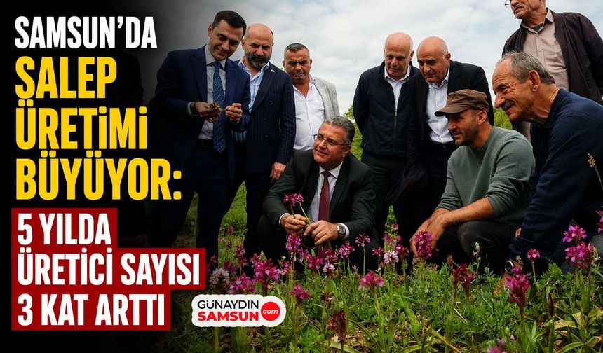 Samsun’da Salep Üretimi Rekor Artış Gösterdi