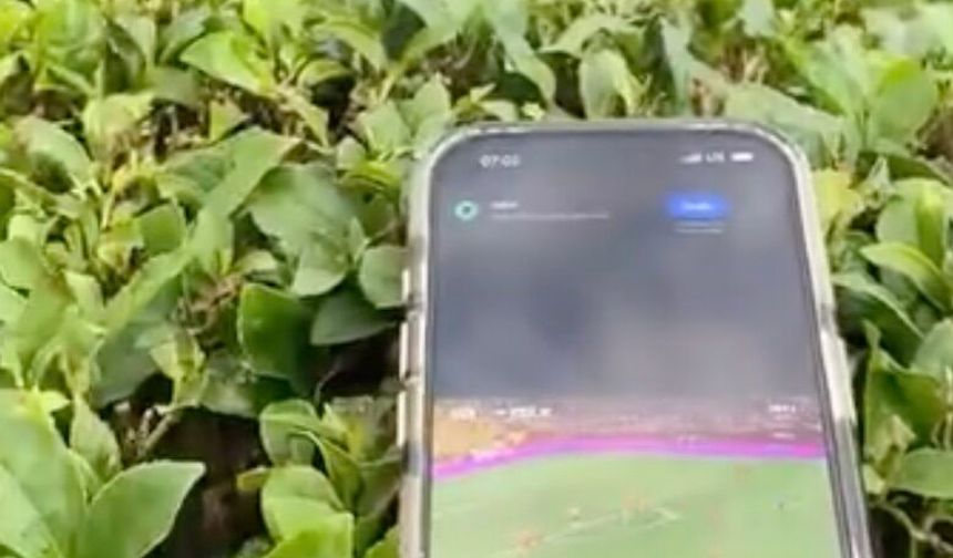 Rize'de dev ekranda milli maç heyecanı