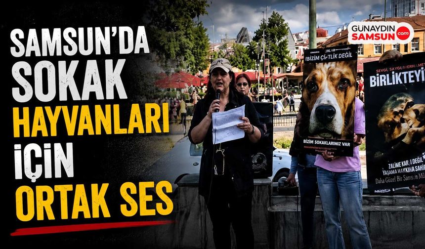 Samsun'da Sokak Hayvanları İçin Ortak Ses