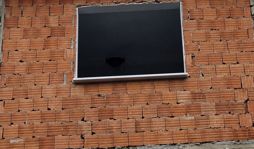 Kuş yuvası için evindeki tadilatı durdurdu