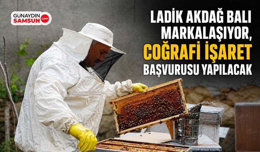 Ladik Akdağ Balı Markalaşıyor, Coğrafi İşaret Başvurusu Yapılacak