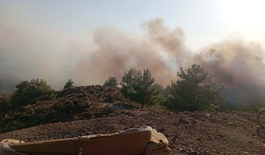 Balıkesir Havran'da maki ve mera yangını kontrol altına alındı