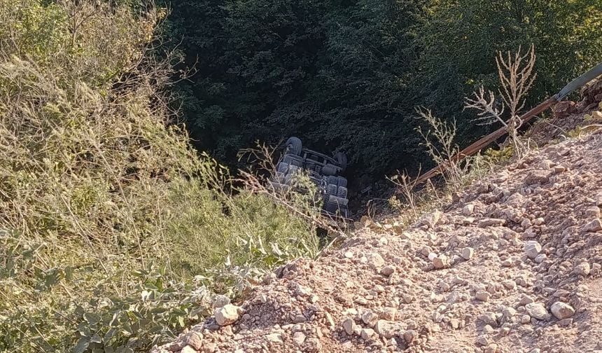 Sakarya'da şarampole devrilen TIR'ın sürücüsü hayatını kaybetti