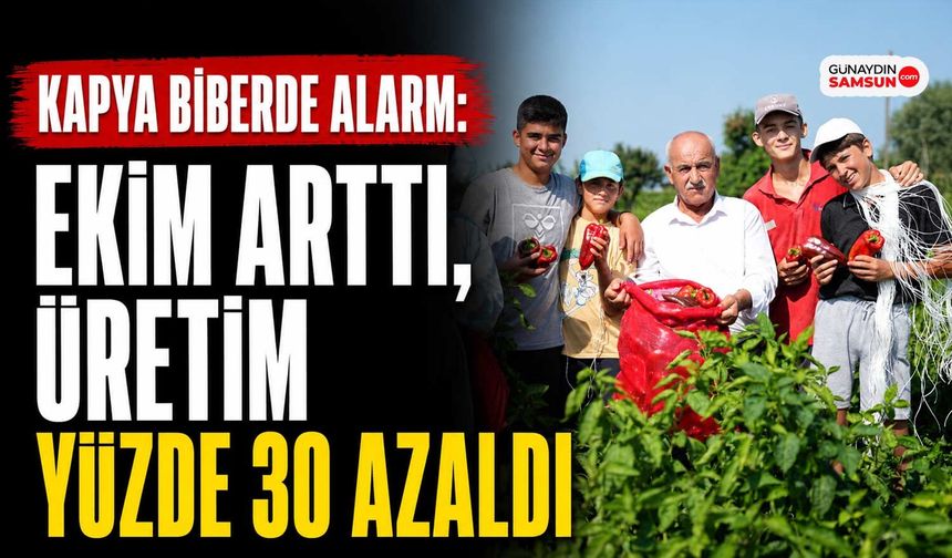 Kapya Biberde Alarm: Ekim Arttı, Üretim Yüzde 30 Azaldı