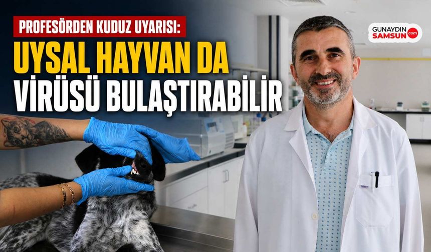 Profesörden Kuduz Uyarısı: Uysal Hayvan da Virüsü Bulaştırabilir