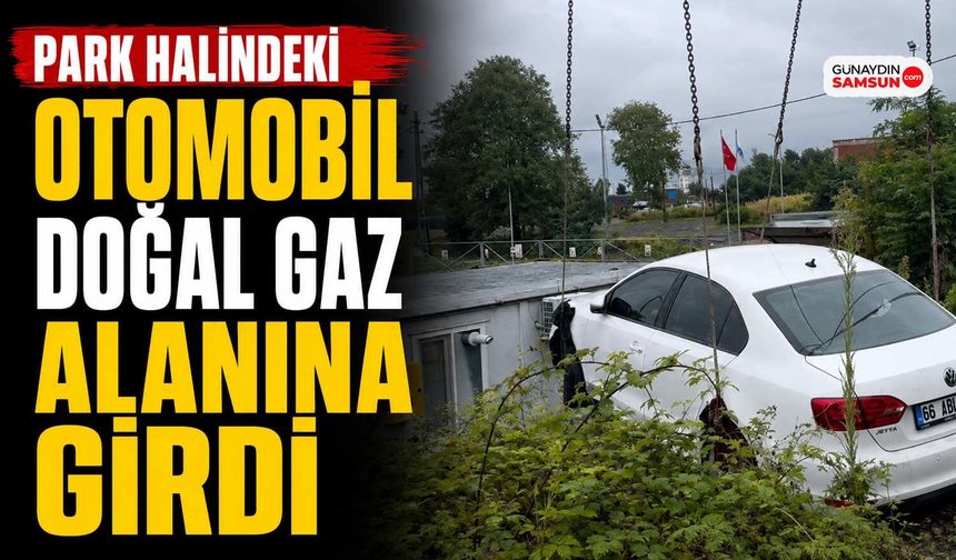 Park Halindeki Otomobil Doğal Gaz Alanına Girdi