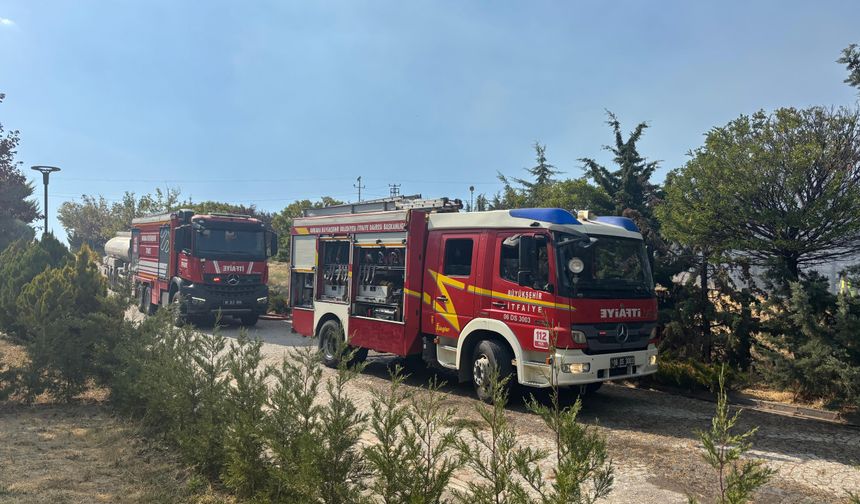 Ankara'da villaların yakınındaki ormanlık alan yandı