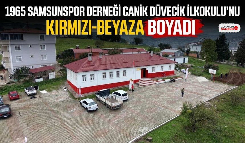 Düvecik İlkokulu Samsunspor Renklerine Boyandı