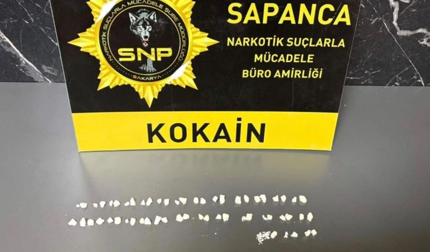 Sapanca'ya uyuşturucu getiren şüpheli tutuklandı