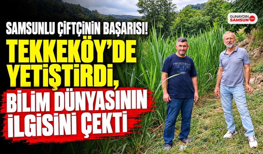 Samsunlu Çiftçinin Başarısı! Tekkeköy’de Yetiştirdi, Bilim Dünyasının İlgisini Çekti