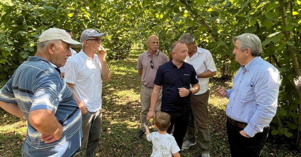 Findik Kokarca Chp Murat Can 5