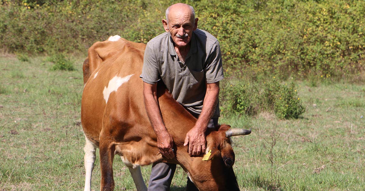 Hayvanlari Telef Oldu Elektrik 3