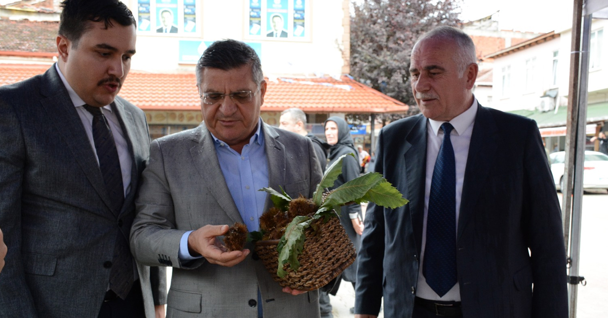 Erfelek Kestanesi Festival 4