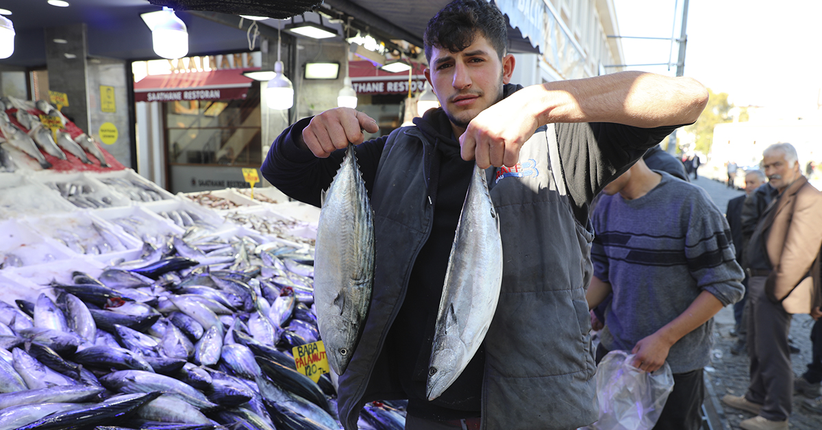 Palamut Karadeniz Samsun 1