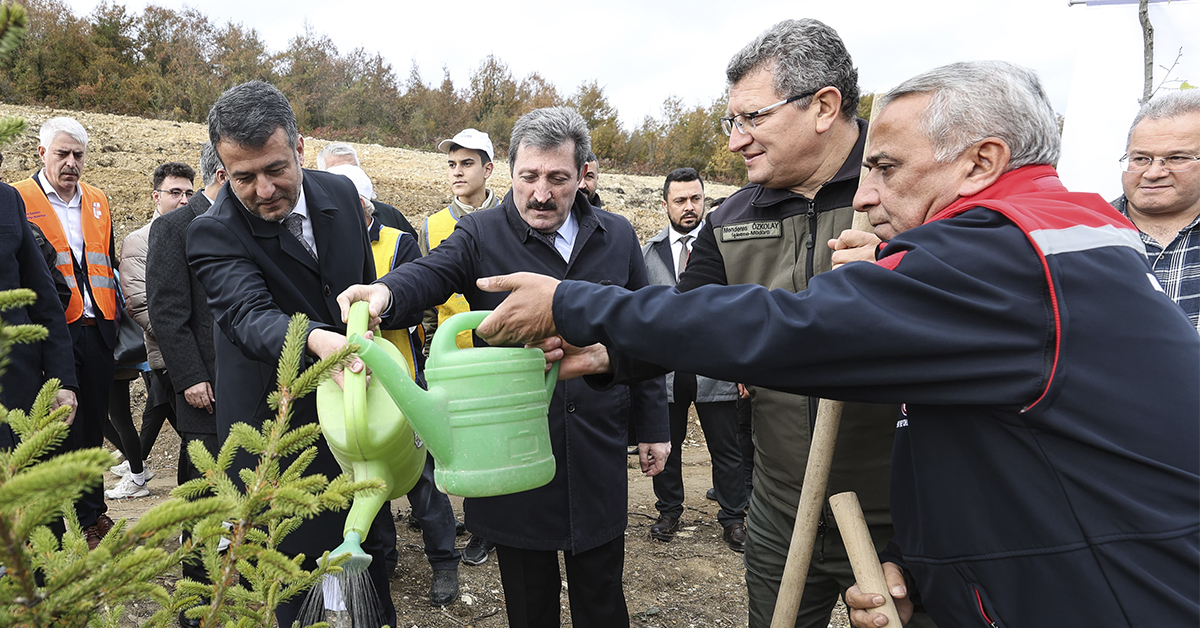 Samsun 11Kasim Agaclandirma Fidan 2