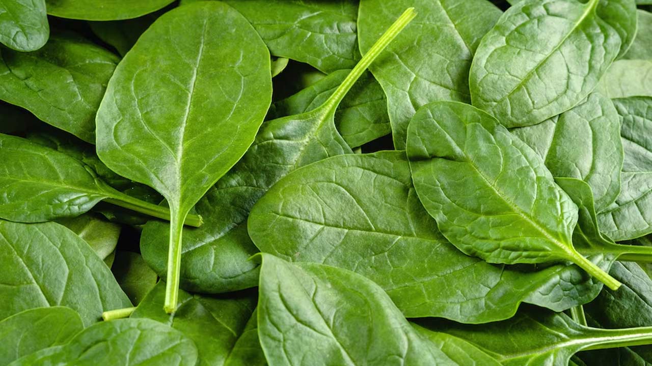 Beden Ruh Sagligi Besin 4