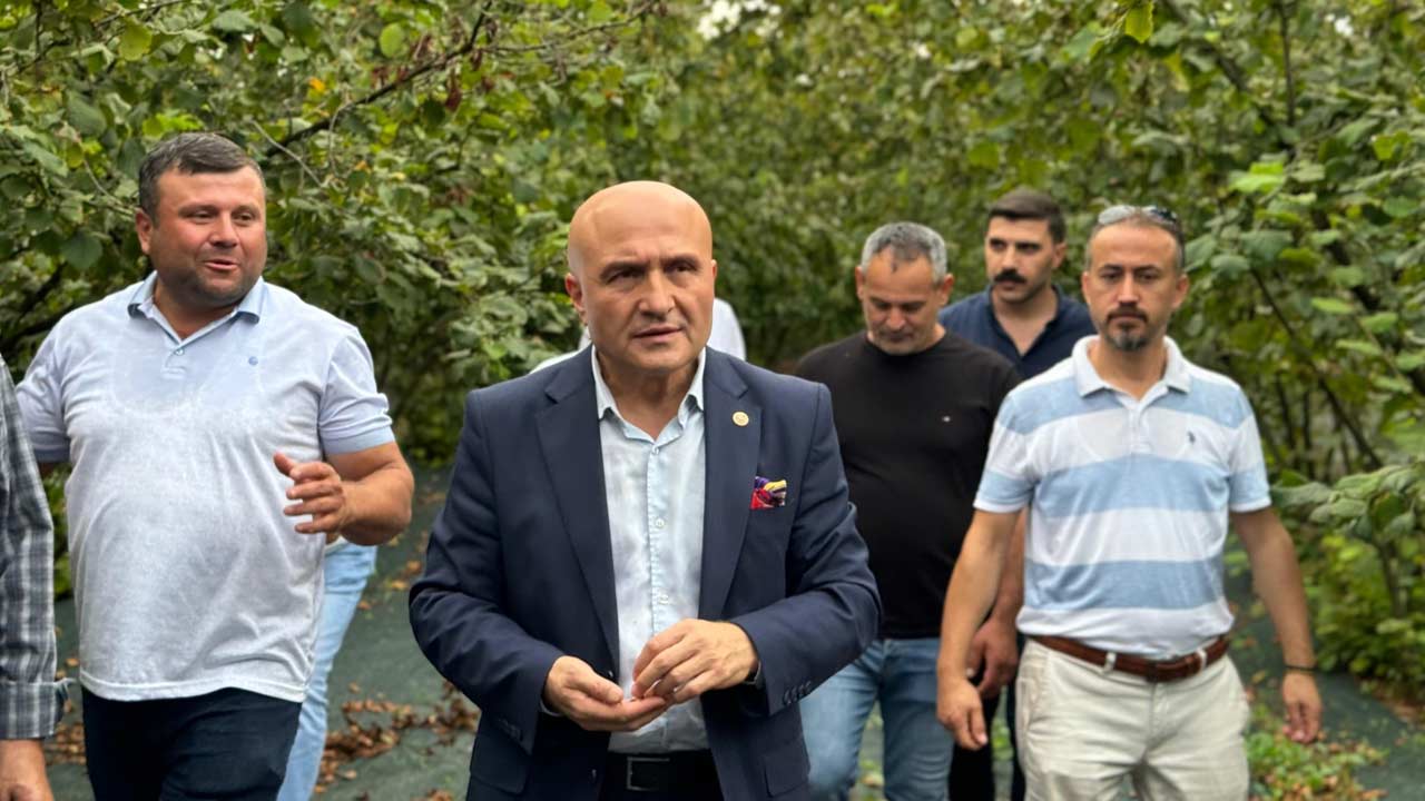 Erhan Usta Tmo Findik 2